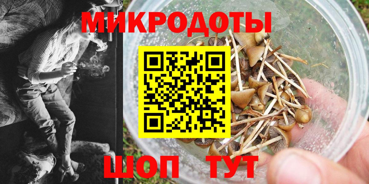 Пенза  Псилоцибиновые грибы мицелий  Вход с VPN 