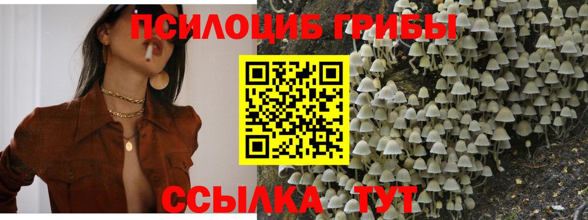 Галлюциногенные грибы ЛСД Пенза